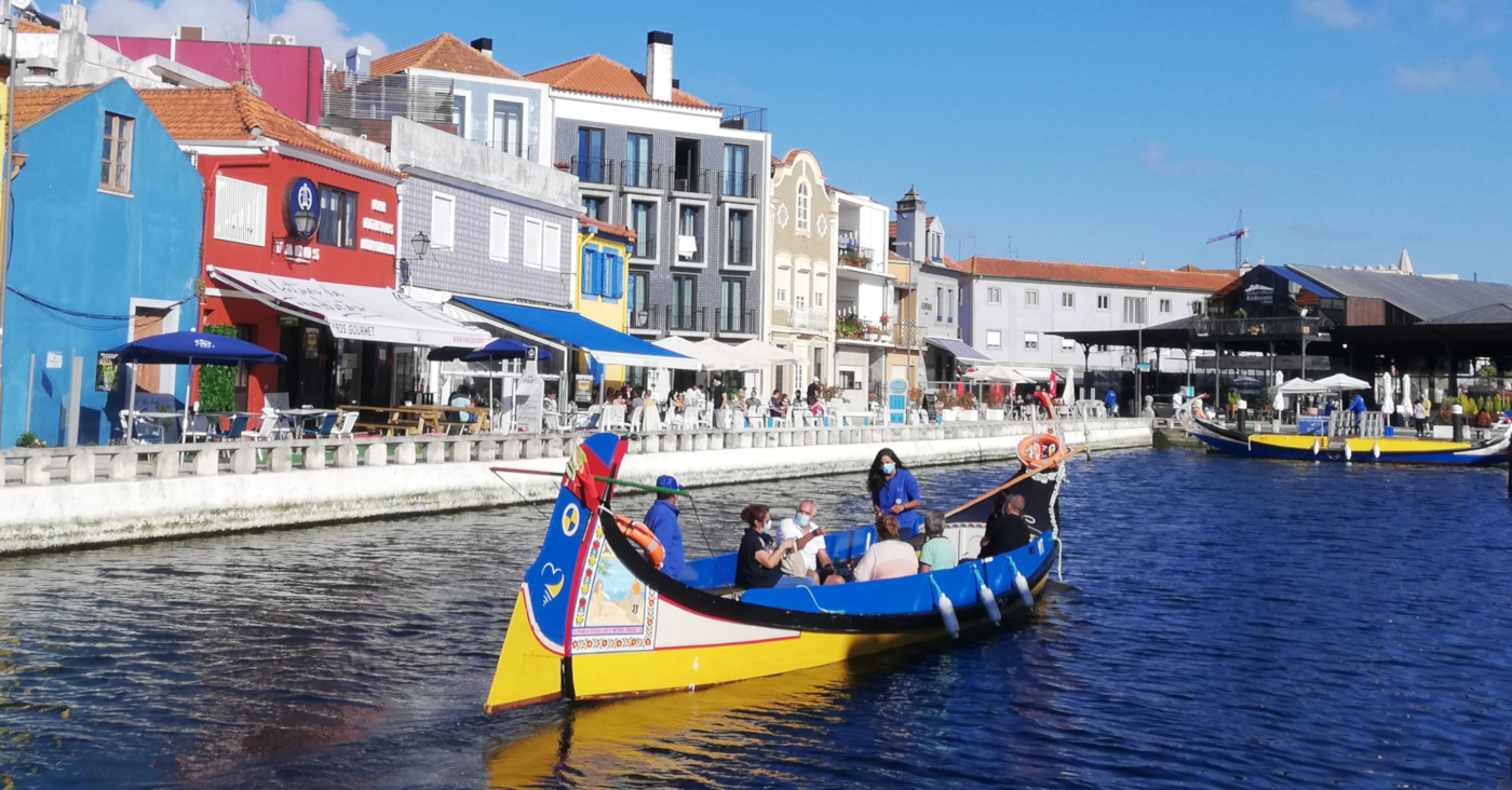 Moliceiro boat